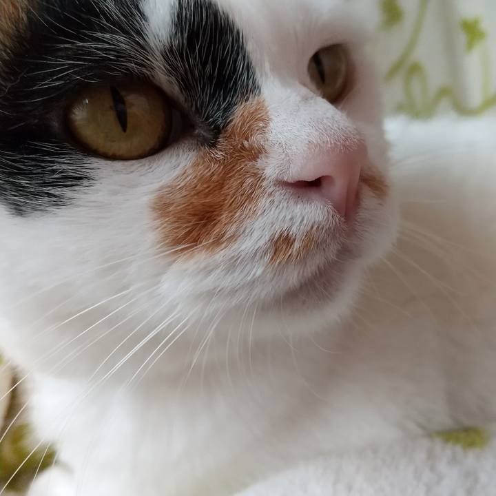 14010258 830f 4b8c 8fed 4c8180af075f 1604621128856