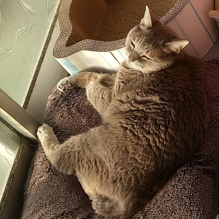 1401184b bb8b 4f48 90d9 583066ef7dcd 1664318875511