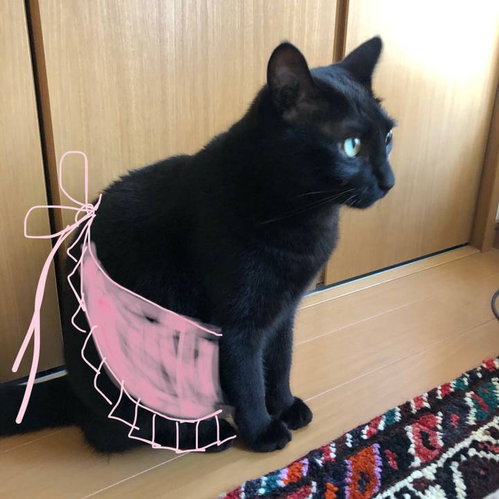 14016e44 acbb 45f5 8c85 40fa36042bc7 1565955648592