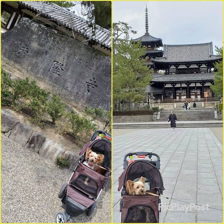 1401716d ab68 4a8b be88 5839816a7ff0 1584320105533