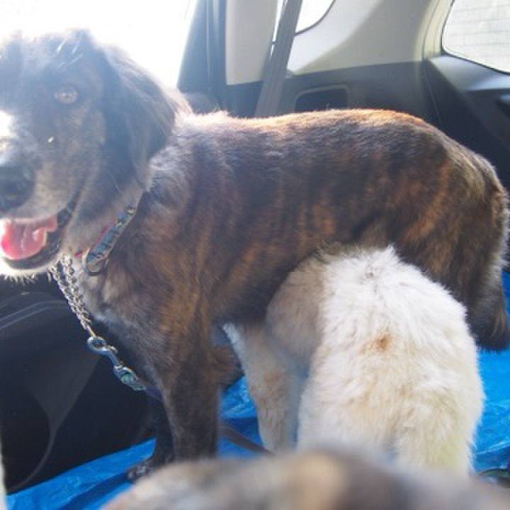 140171fe 3e9a 446f 9ed2 502f37d6df3c 1610892346281