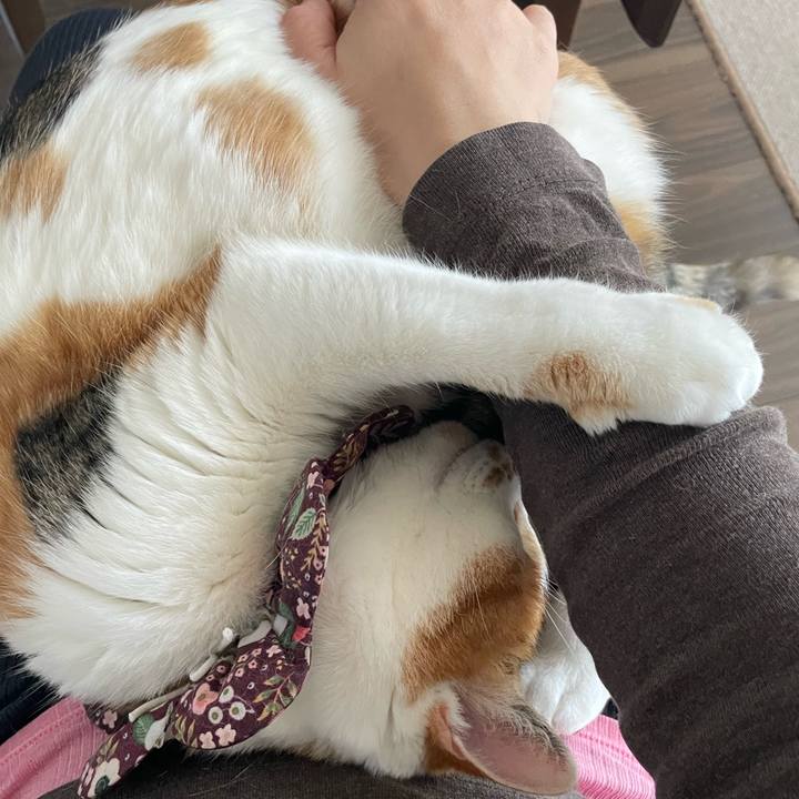 140172a3 0327 43b3 a951 7b6e10b7dd71 1737165758404