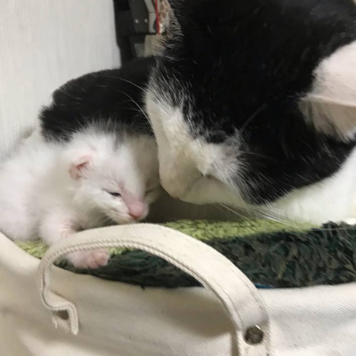 14019826 c04c 4658 a027 dc32f9bfda8a 1589900271077