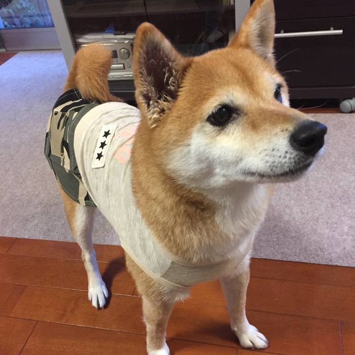 1401a5bb cd57 42e9 a3a9 3ffc9540f810 1549009563162