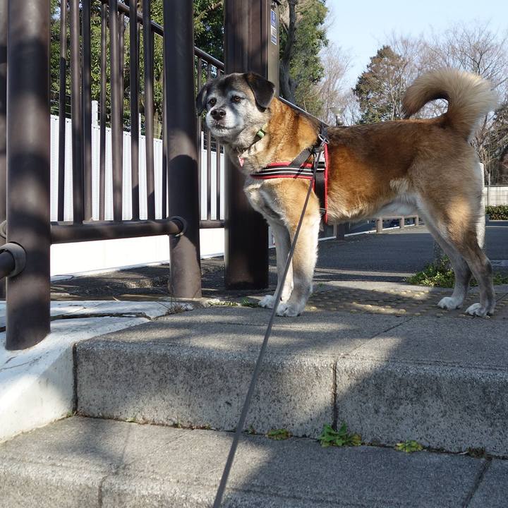 1401b7e3 a164 4ce3 9aef deb34a5ab332 1630626242215