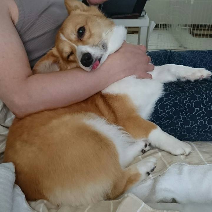 1401c157 db54 4a4b 8a8a d2b9e8265d4c 1534552216118