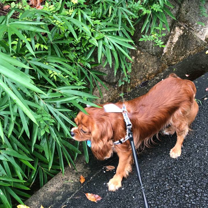 1401de20 c98d 433d aa4b d2a1584804a0 1595724545031