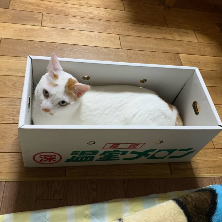 14025424 a4e3 4ead aa05 5307581411e2 1592741745868