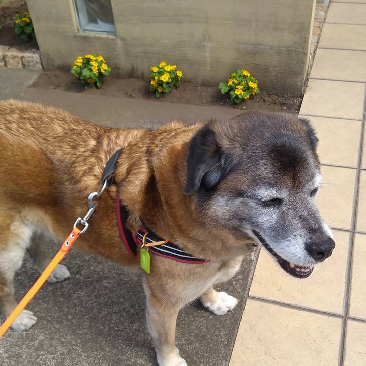 14027cb8 676a 458e a533 1b2fa4dc3028 1558325693575