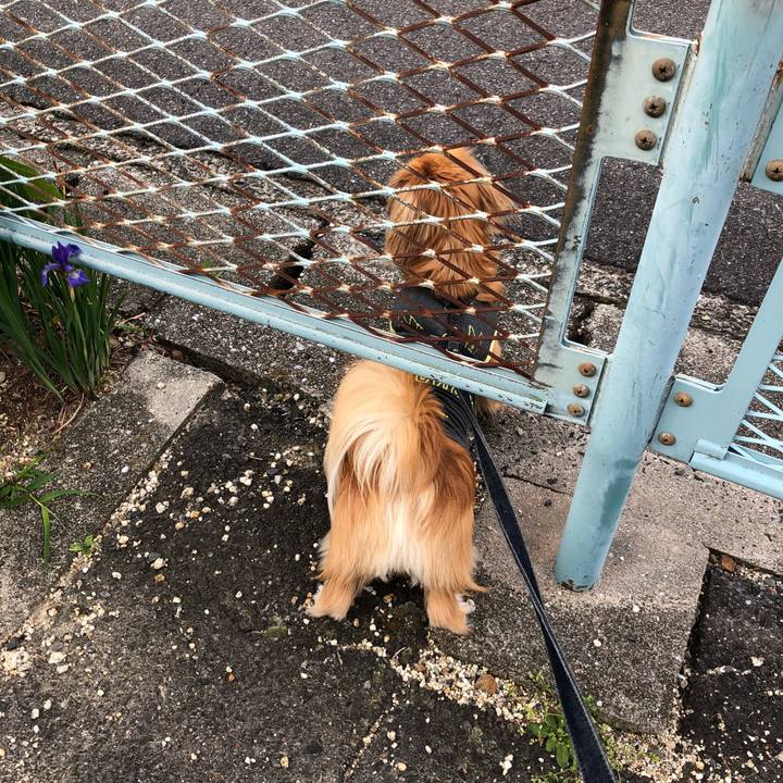 14027f12 b678 413b a3d7 8b5a478e04e7 1526510567510