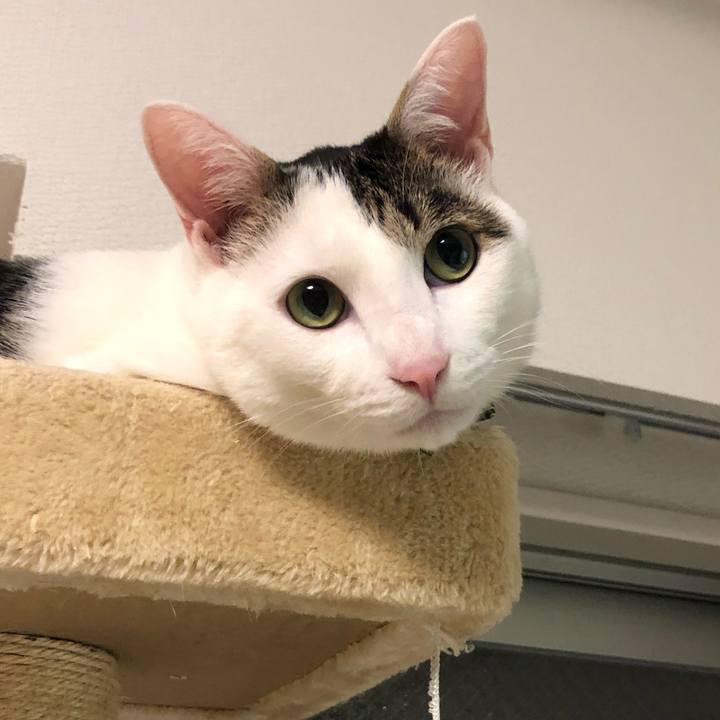 1402a30d b9ea 43d0 ab05 8646ffbf189a 1553521450800