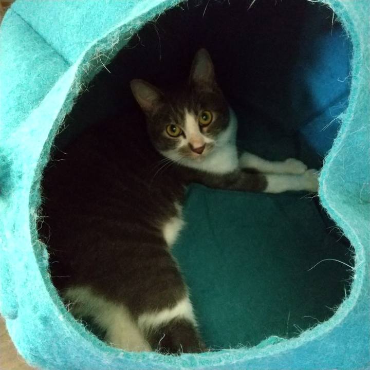 1402b881 894b 4e1e a22e 12889d88c315 1599194027799