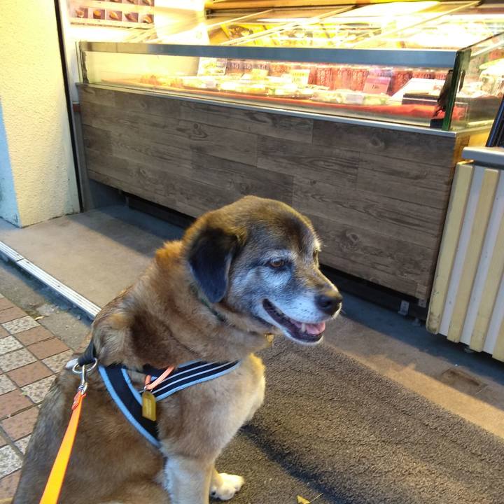 1402e19b 0ee0 4c44 9b7b 7c833d4673f0 1560419427058