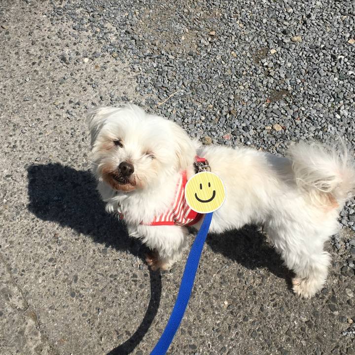 1402f814 55e1 43b2 a643 455d1a5d50c7 1616567135423