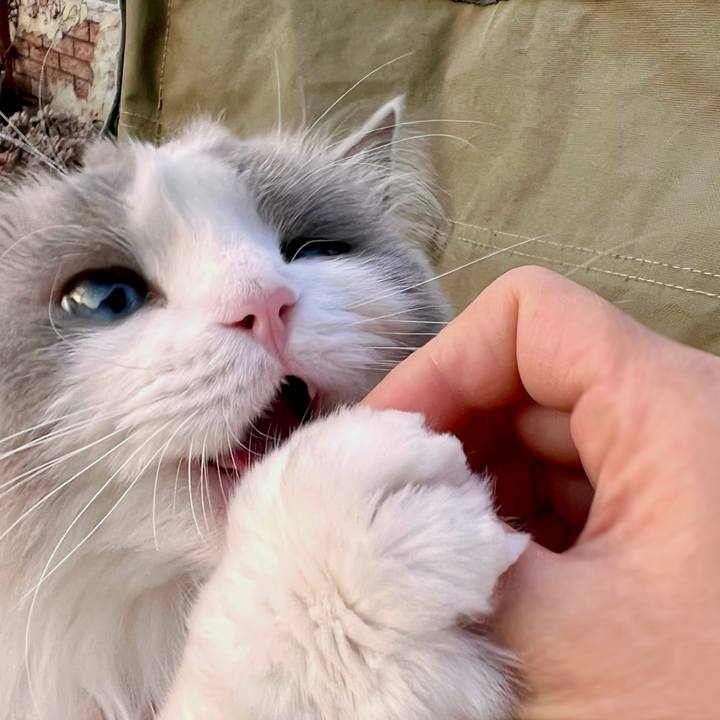 1403062b 23b7 4dec b879 2b608dccbd84 1648415212681