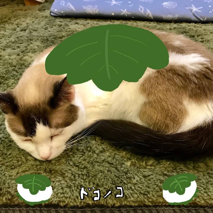 1403065e 9023 43ed 8d2c dd9bbd2865a6 1749275123880