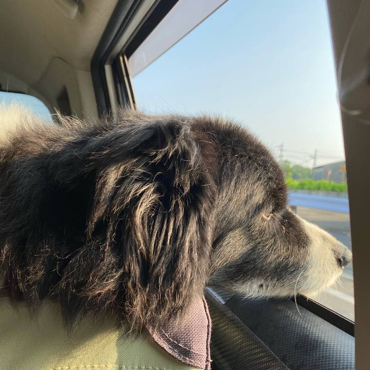 14031713 9de8 44f4 8b8d e31c48383c56 1686866734251