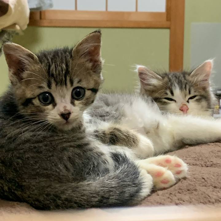 14032ad9 52d3 43cb 9aaa 9ff0b4babe0d 1686262812650