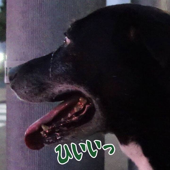 140347a7 f5ed 4aab 80f9 ca59ba632464 1751365361687