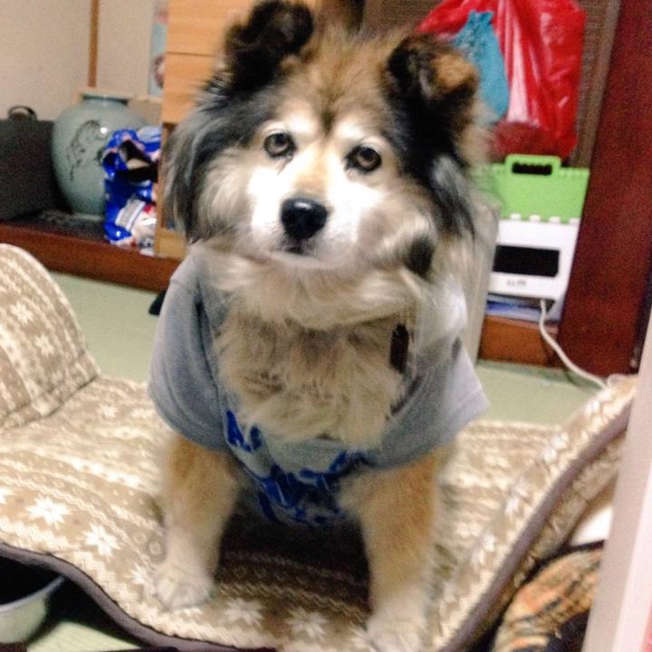 14035d65 0d3f 4a7b 9454 32b9906463f4 1577115253579