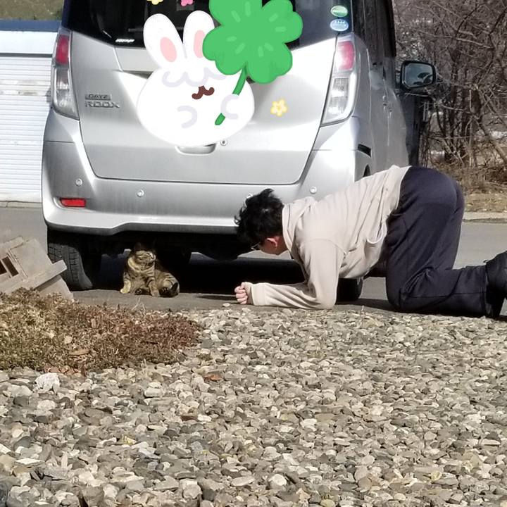 1403e5a8 fb84 4719 a522 f9e63412e735 1679839795817