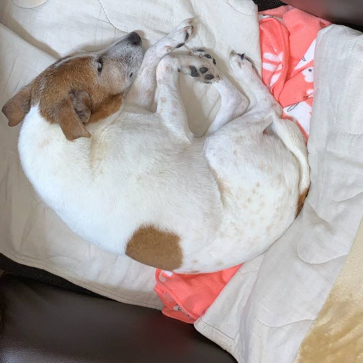 1403efc5 6fd9 4925 acc5 7c979f961820 1619705927903