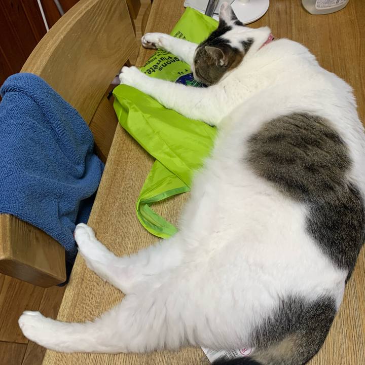 1403f35d bf58 4606 832a 83cd4d36e037 1623751203027