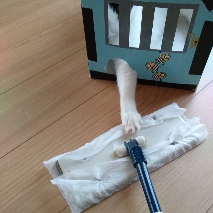 1403fe54 3f1e 4062 b783 0aaf0740dd59 1566086546095