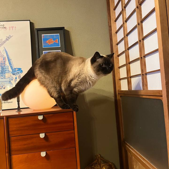 14045376 b0f4 4f5a bcdf f1eb8f51deed 1653391252822