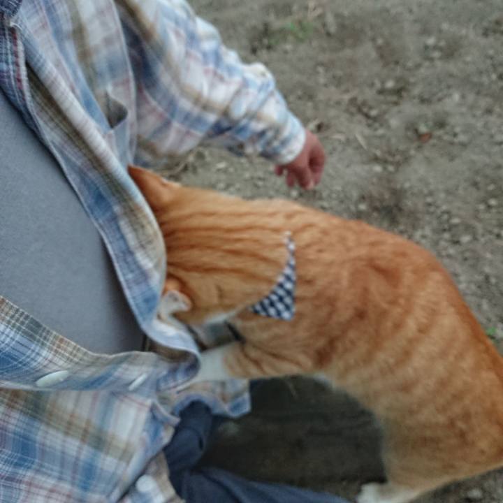 14045501 4f82 4cbb 89ab b8068ef69ac2 1569707366906