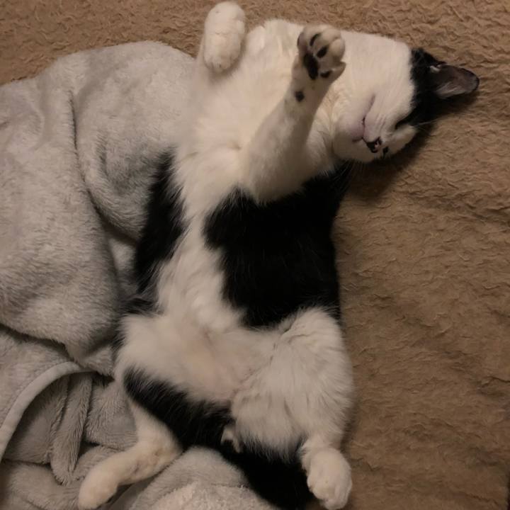 14048b54 de3a 4e27 8654 3a1cdf18a46a 1554818489187