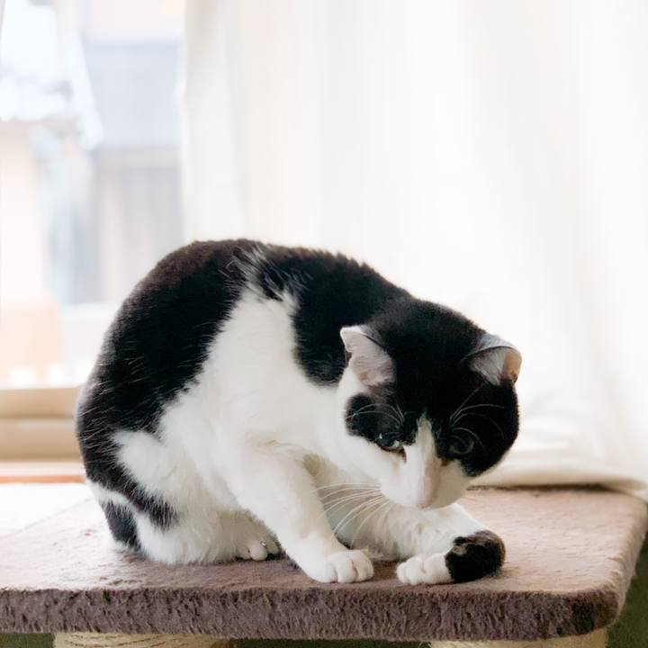 140492fe 8b50 4dc8 9393 2cc6ec32ae79 1588903320531