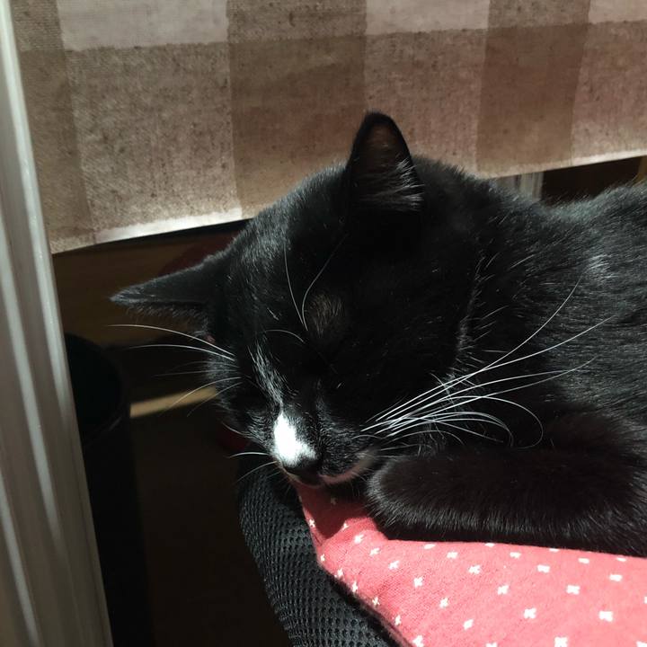 14049946 53c5 4ff2 abfe 76c208088d6d 1544759346296