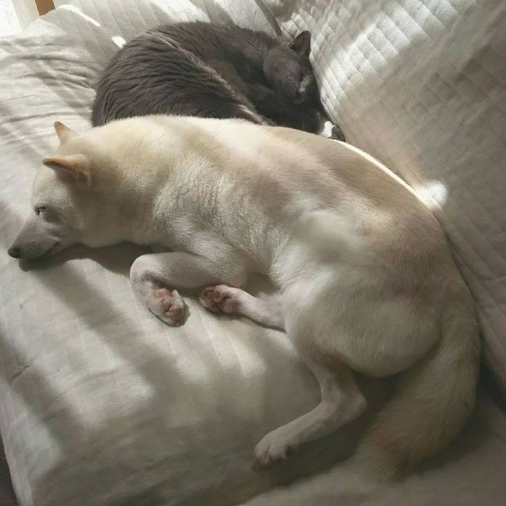 1404a8a4 7086 4b7a 8c07 116058d0aa88 1599536459760