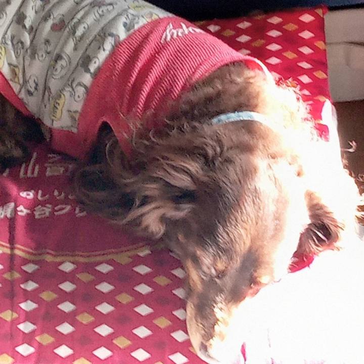 1404dd29 6e5e 41d5 ab7f d17561cb4eef 1768338173181