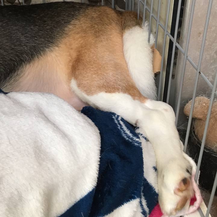 1404e785 ce0e 4808 b40e c35e6917c05f 1561694234356