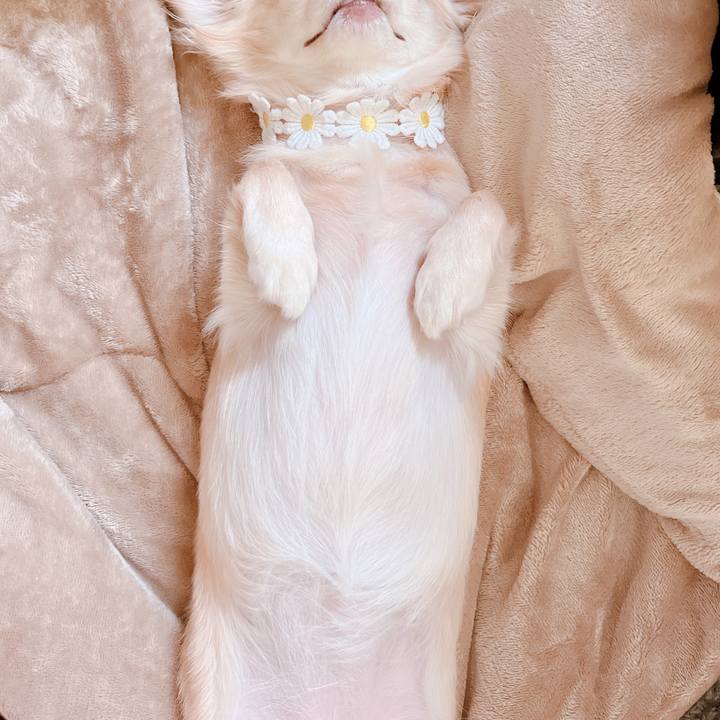 1404ef94 e339 454f 98a6 1f582ccbc82e 1656808437098