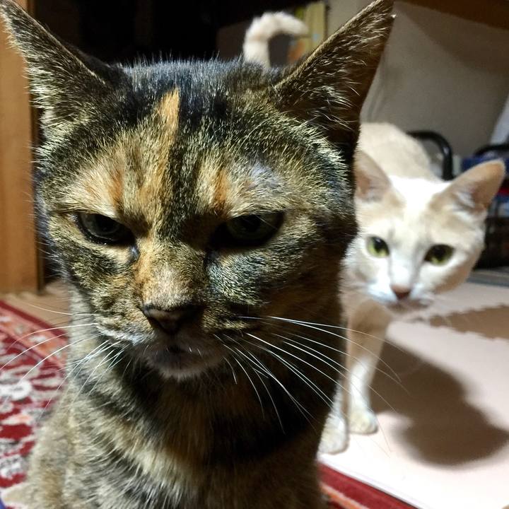 140509fd dc20 428a 9567 7f38d1ade85b 1539680297016