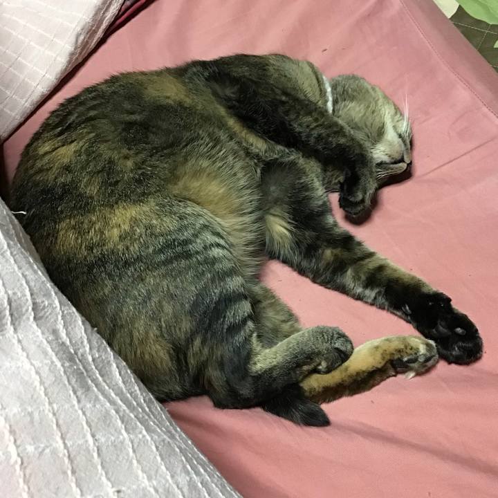 14051fe9 414c 4a51 a6d2 6cb69d4537a2 1674047084797