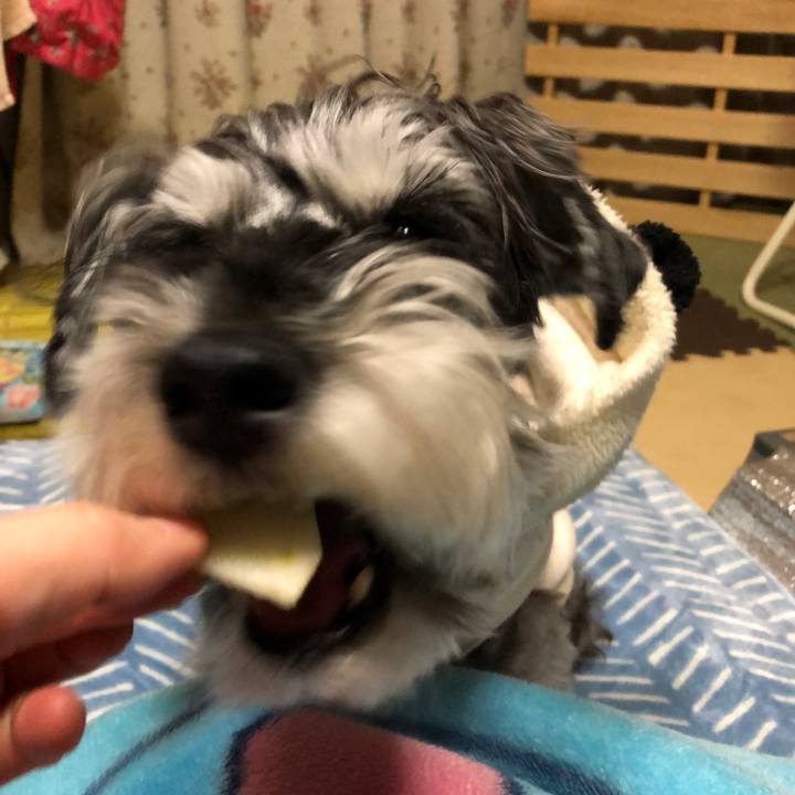 14053042 7394 480e 9812 4b9a2b93d71e 1672489594566