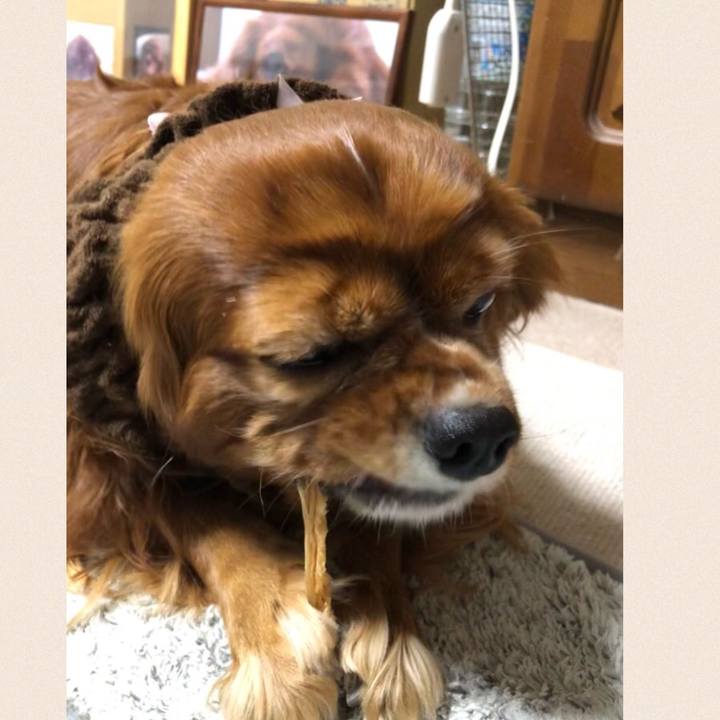 14054b87 3309 4c2c 917f f1af4ce7ed12 1642342588139