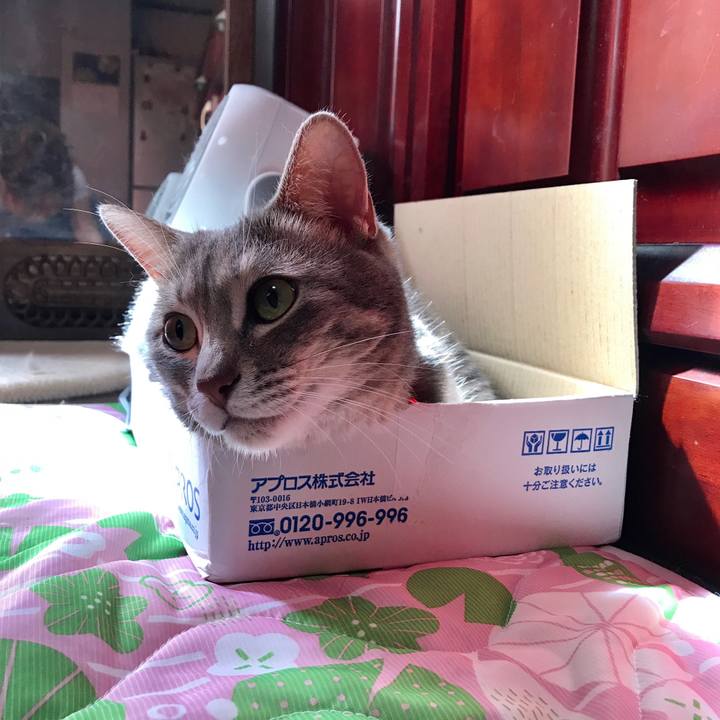 140574a7 23f0 4089 888c ea6dfec7b488 1565917886669