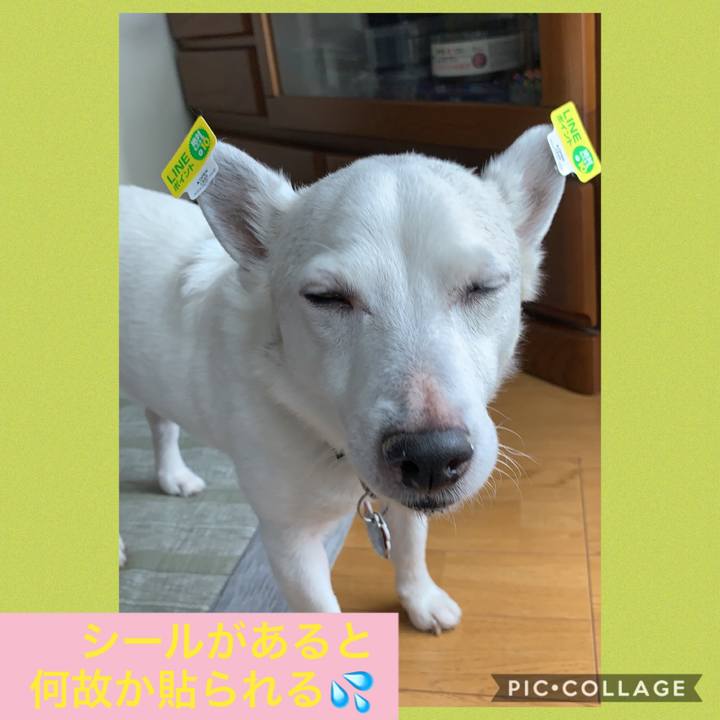 140590ea 7d5c 4567 9fb8 067028db4123 1560654883999