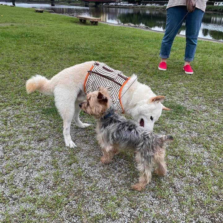 1406200e 65a4 4ab5 8d5b 8349ca739a16 1655719097956