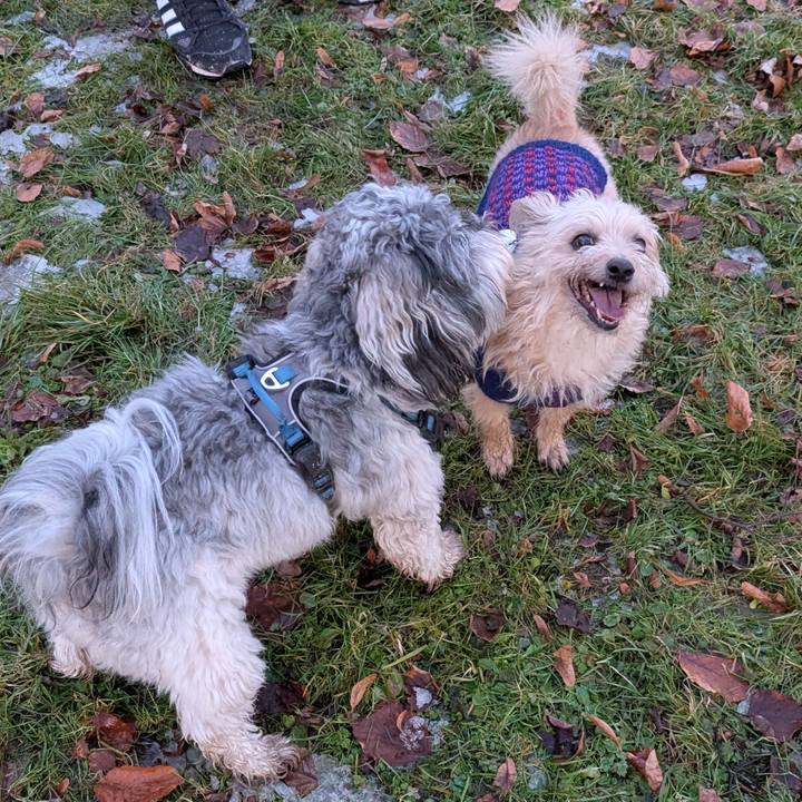 14063a9d 1553 4824 a8c7 b95677ece4a5 1768592767281