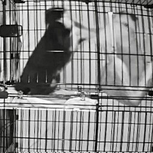 1406640b 11d3 4f9d 8e70 4925369e0a24 1739732535030