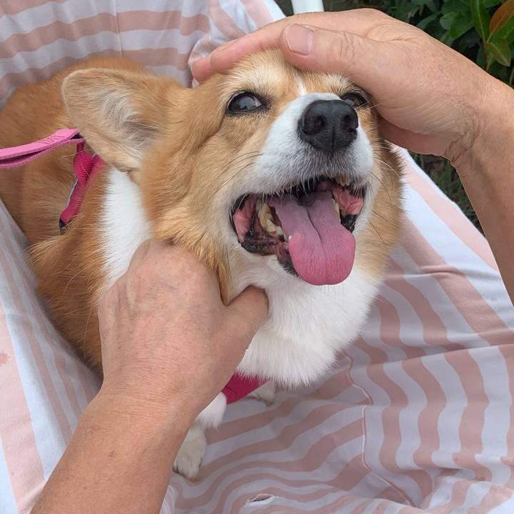 14066453 faf9 4407 9d20 8e93e6ea8526 1694152203958