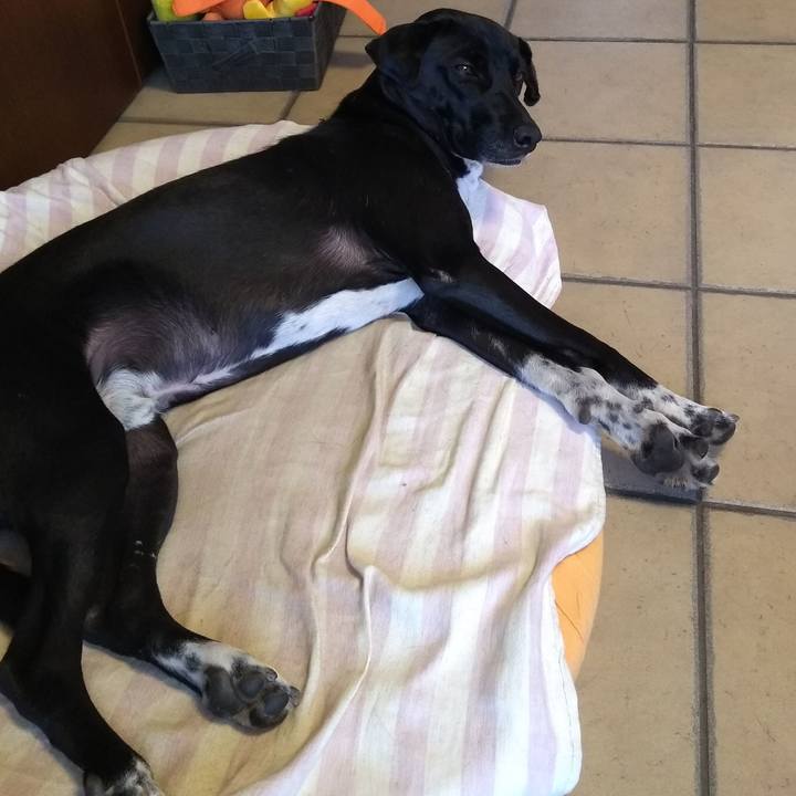 1406b945 0d97 4735 85cf d8d646ded18f 1589280432761