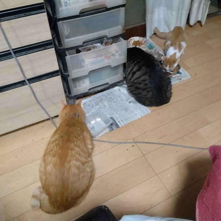 1406c286 29d1 43bf a12c 57d018a16e04 1728511681946