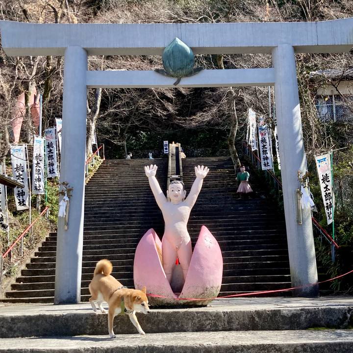 1406c5be 9c1e 45d8 a94f c4aebbb4256b 1677382924641